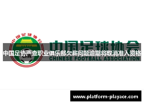 中国足协严查职业俱乐部欠薪问题逾期将取消准入资格