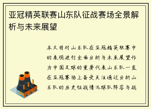 亚冠精英联赛山东队征战赛场全景解析与未来展望