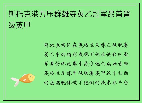斯托克港力压群雄夺英乙冠军昂首晋级英甲 斯托克港力压群雄夺英乙冠军昂首晋级英甲